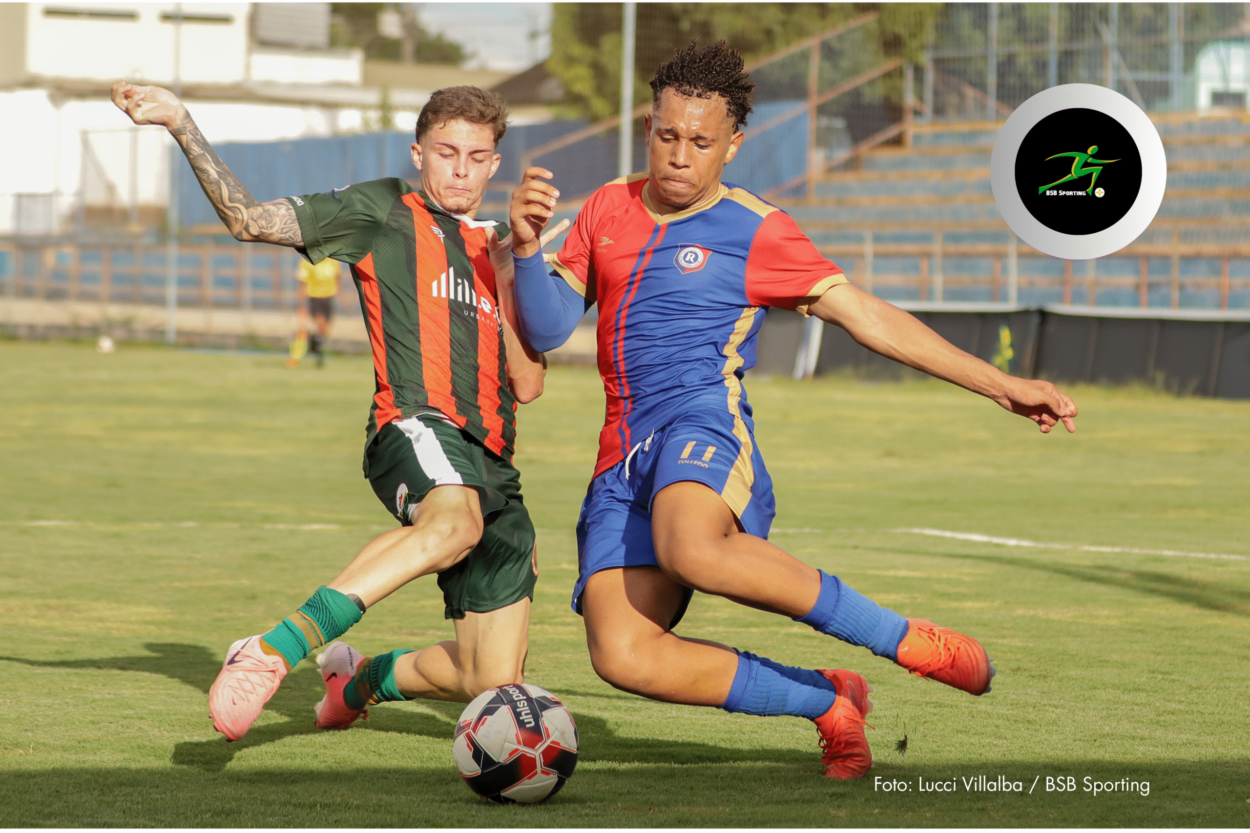 Royal x Cerrado S17